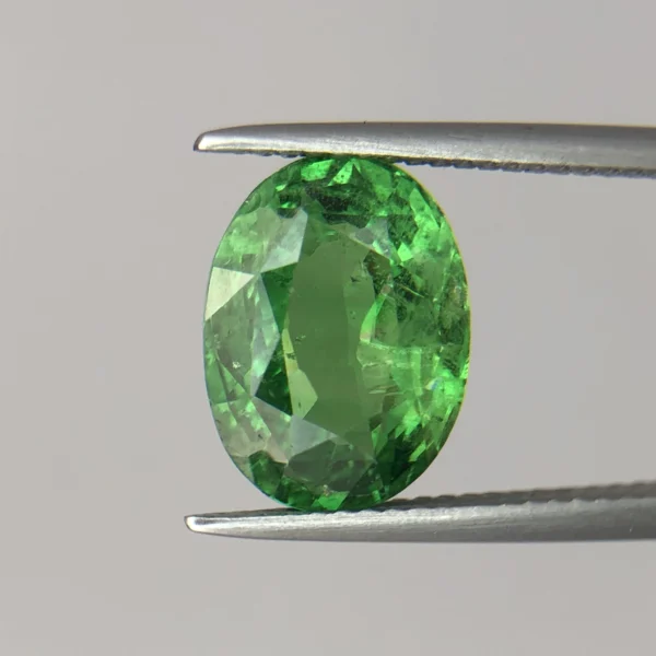 Natural Tsavorite ‘Green Garnet’ 4.60ct