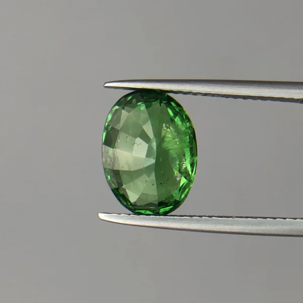 cd8bc614-5ab9-4b58-b60e-5960b1bc956a Natural Tsavorite ‘Green Garnet’ 4.60ct